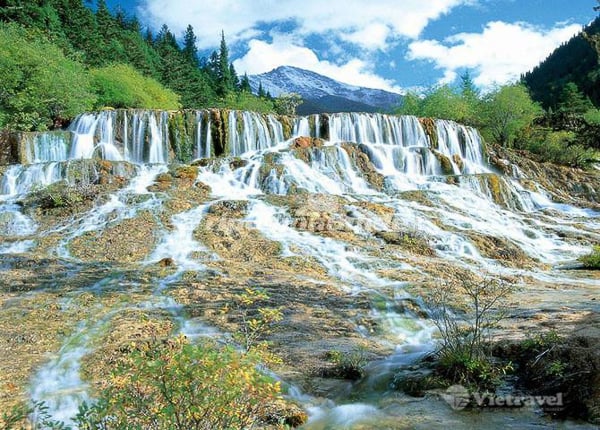 Tham Quan Cửu Trại Câu (Ăn ba bữa)